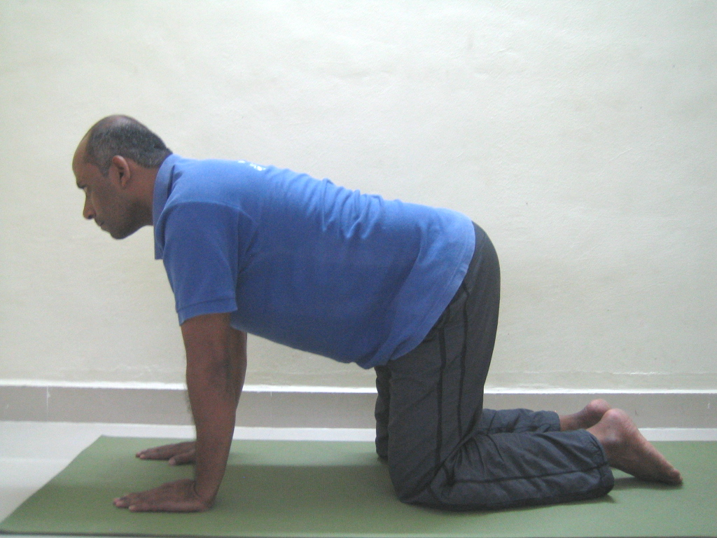 Marjari Asana Step1