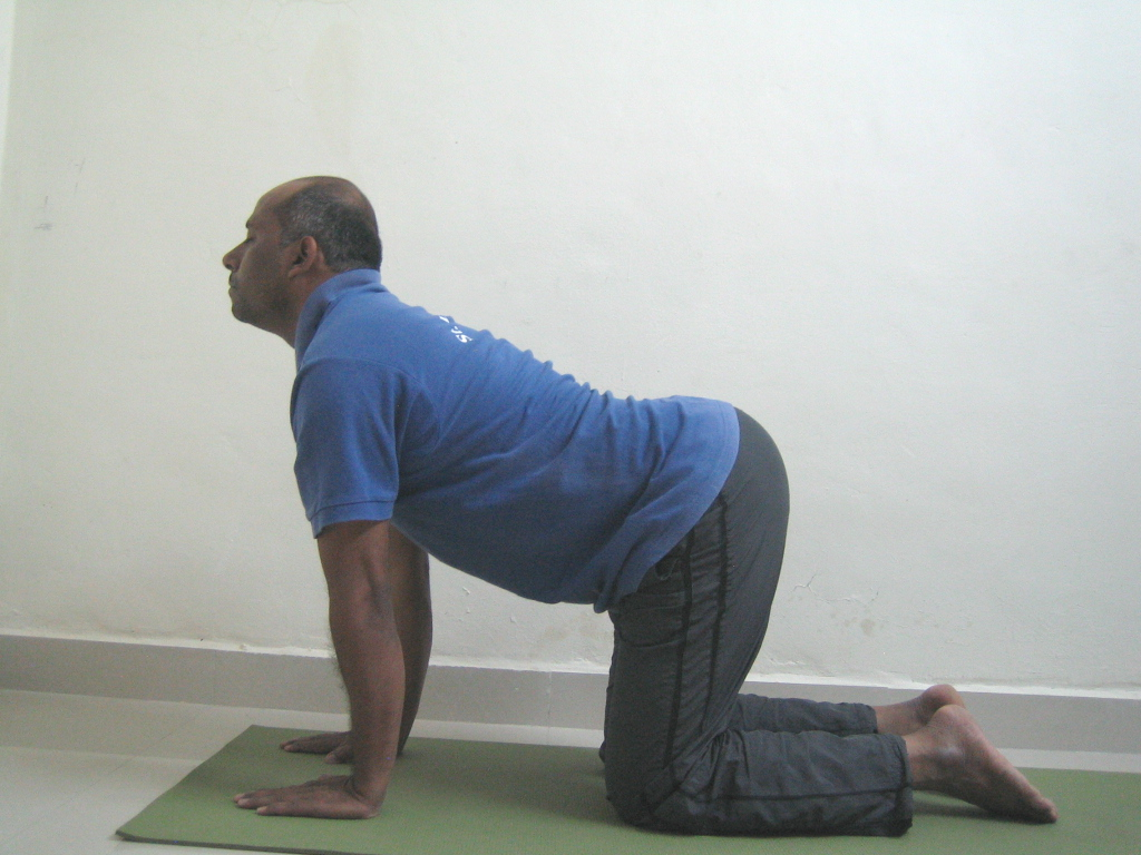 Marjari Asana Step2