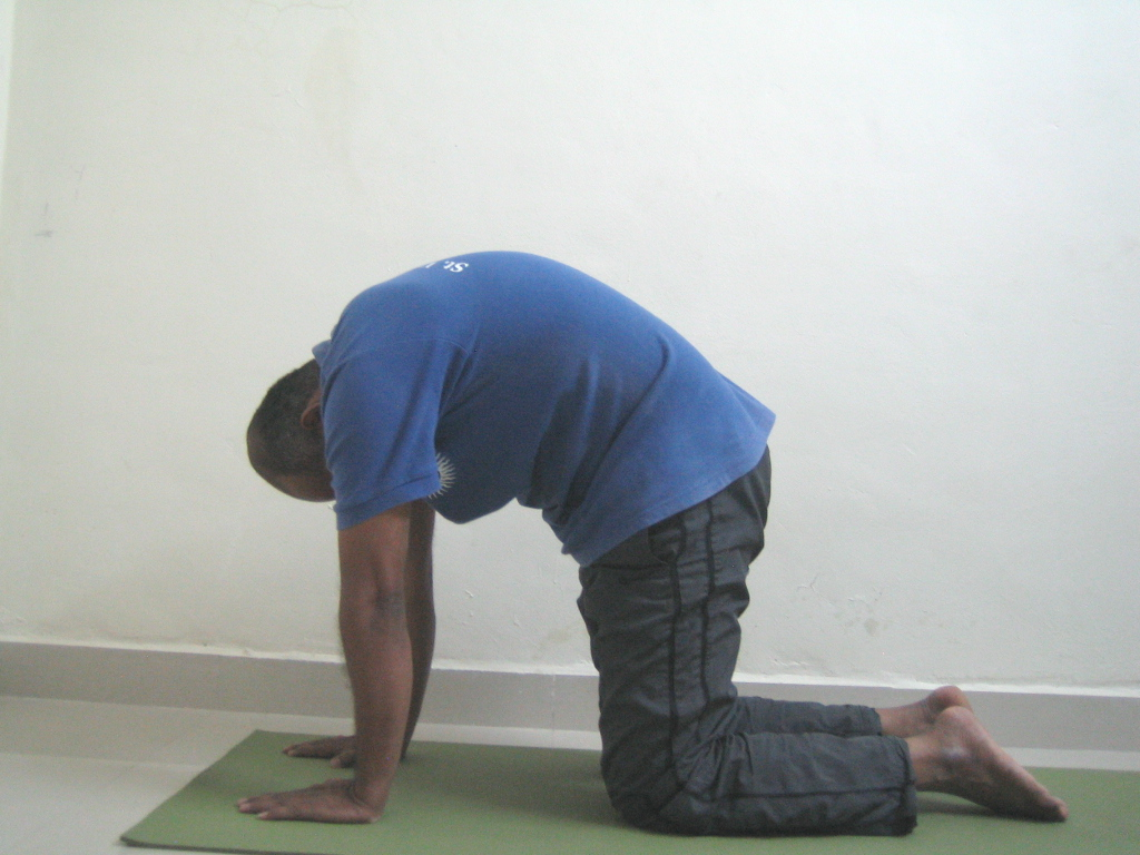 Marjari Asana Step3